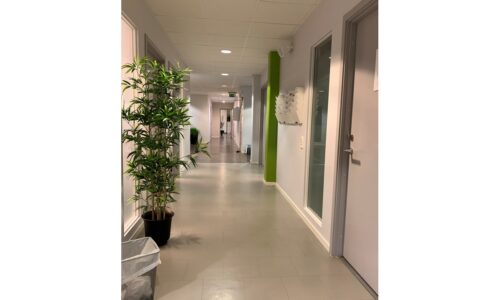 lokalbild 13 - Skola eller vård och omsorg på Karl Gustavsgatan 32