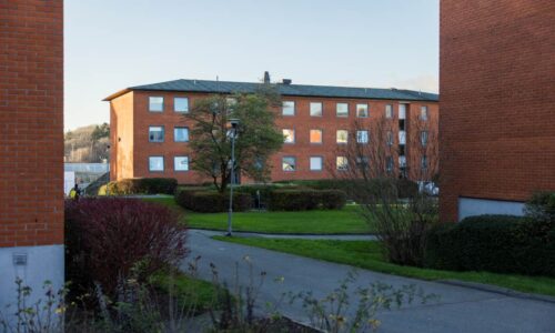 Bild på lokalen - Pilegården 5C