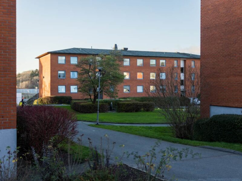 Bild på lokalen - Pilegården 5C